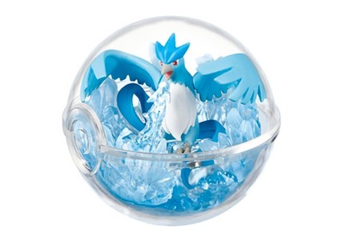 Usa shipping pokemon terrarium - usa,